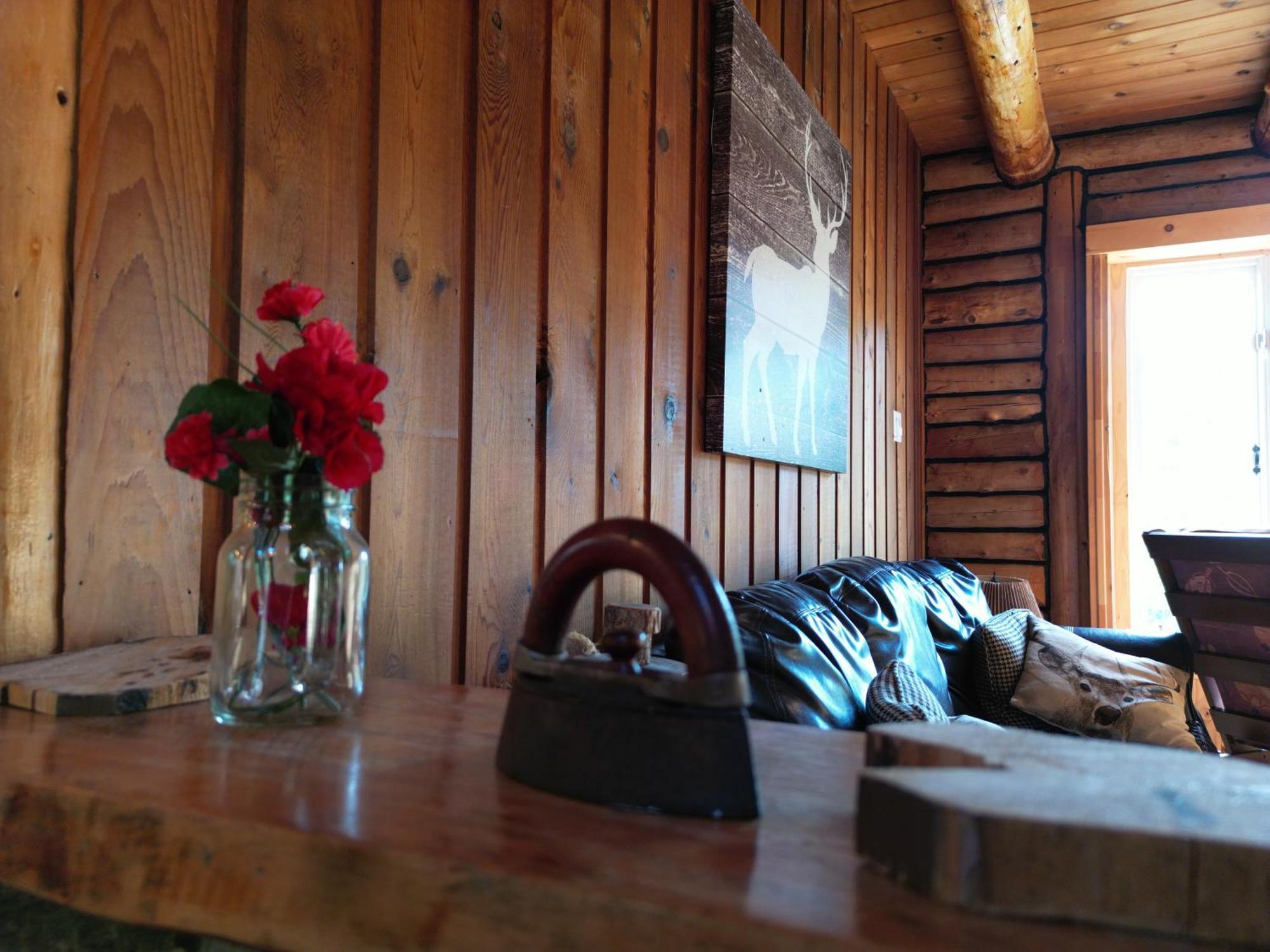 Cozy Log Cottage La Minerve Exteriör bild